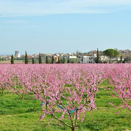 بيت للعطل Sol Blanc
